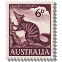 Austrailia - Banded Anteater icon